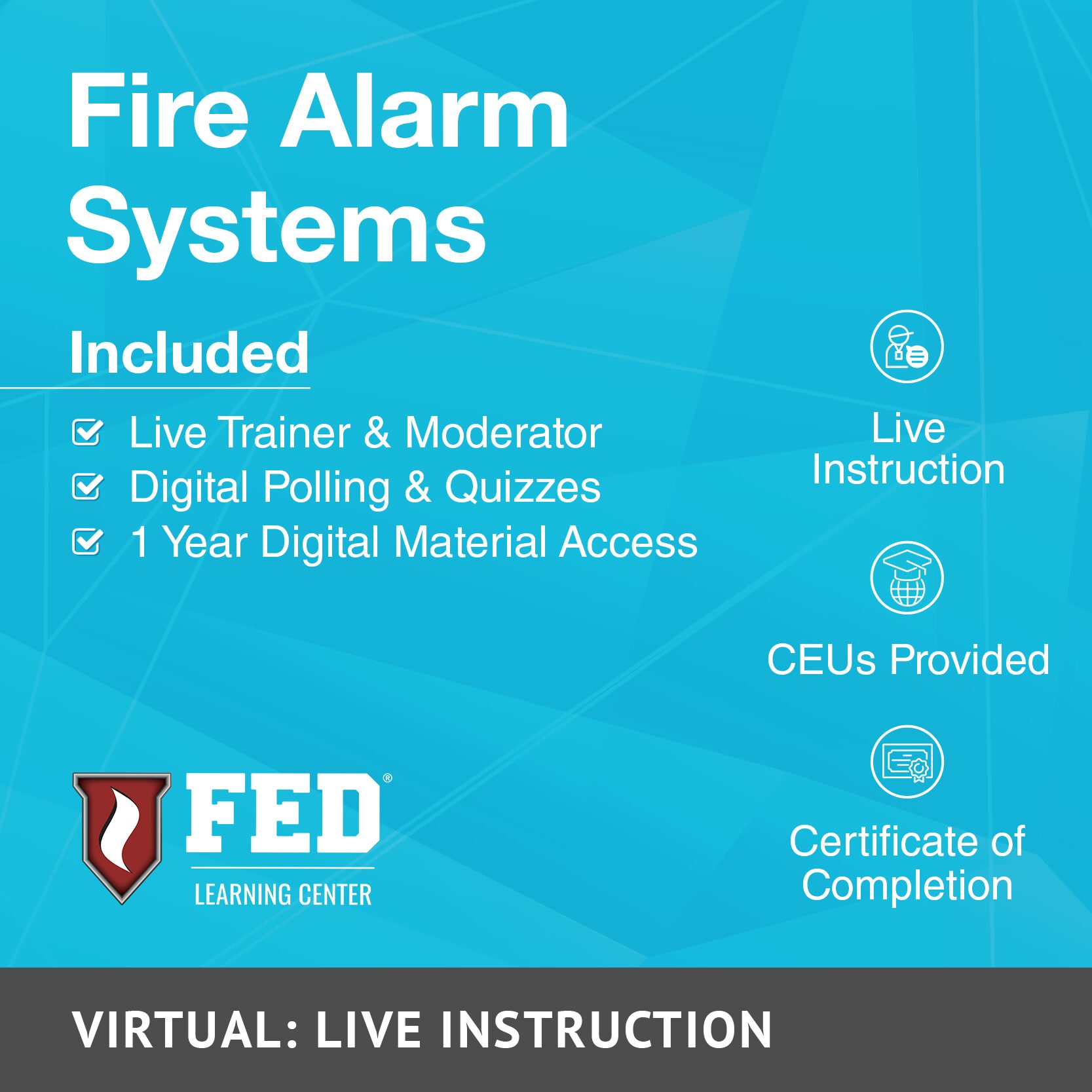 Fire Alarm Systems Series | VLI - Image 2