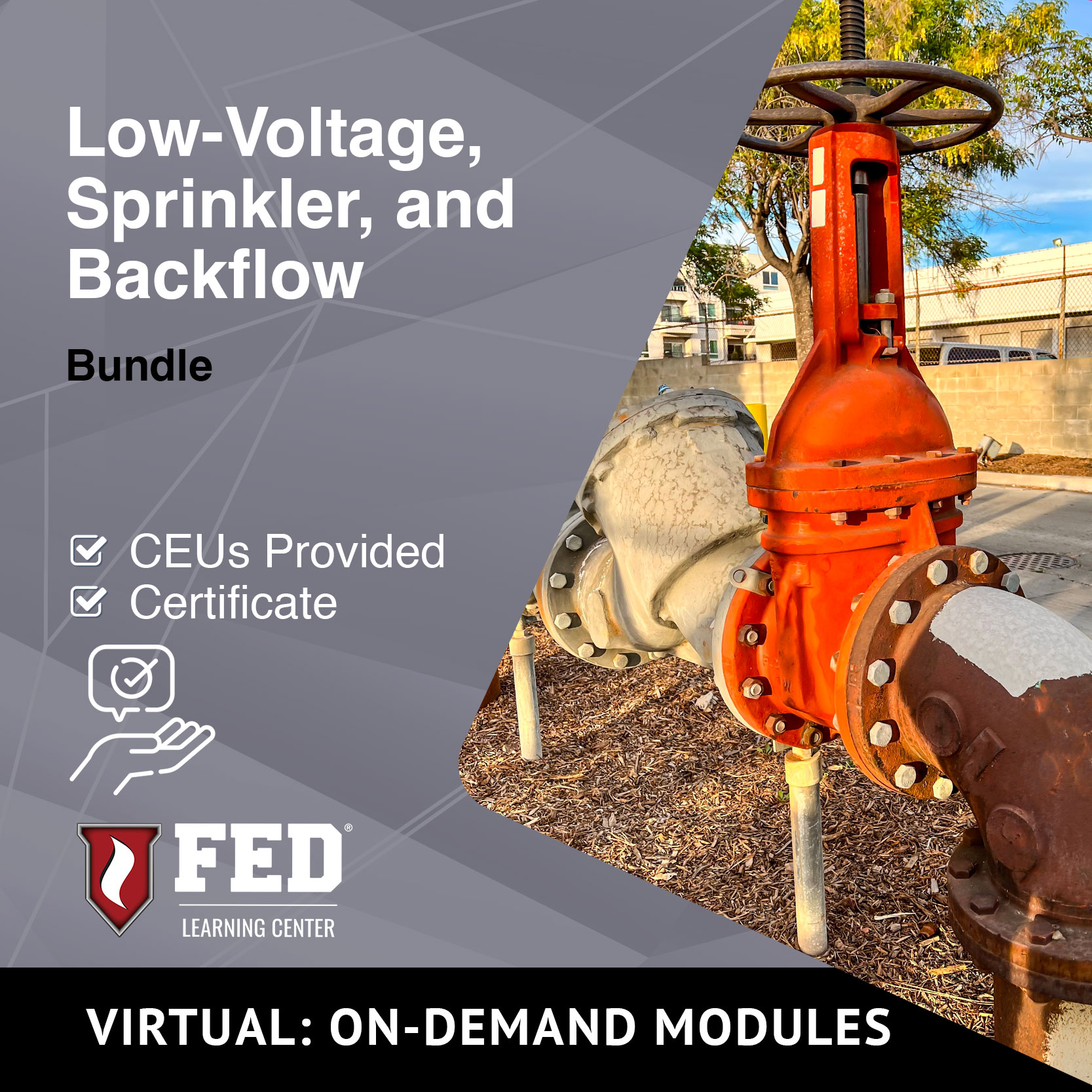 Fire and Life Safety Education for Beginners (Low Voltage, Sprinkler, and Backflow) Bundle | ODM